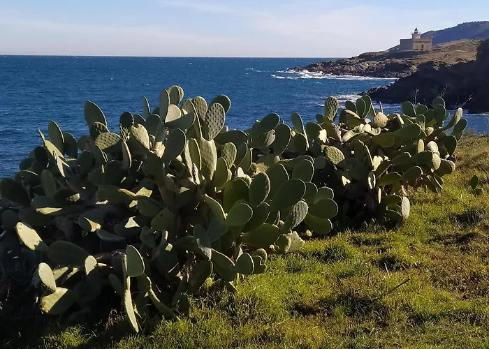 Port De La Selva